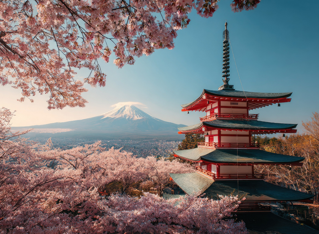 Iconic Cherry Blossom of Japan group tour