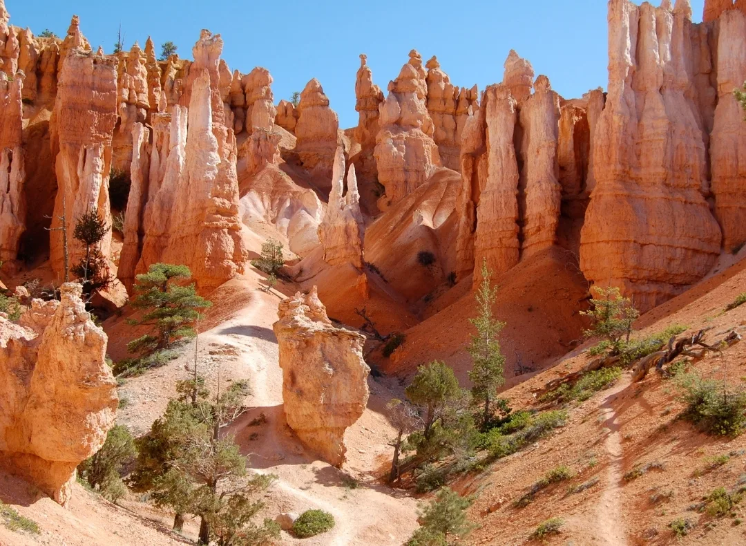 USA National Parks tour package